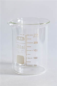 250 ml Low Beaker - Borosilicate Glass
