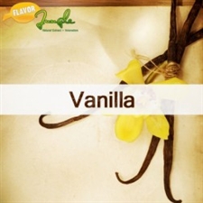 10 ml Vanilla Flavor (FJ)
