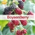 10 ml Boysenberry Flavor (FJ)