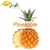 120 ml Pineapple Flavor (FJ)