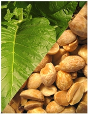 10 ml Tabacco Peanut Flavoring (IW)