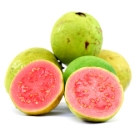 120 ml Guava Flavor (FW)