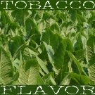 30 ml Latakia Tobacco Flavor (FW)