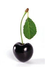 120 ml Cherry Black Flavor (FA)